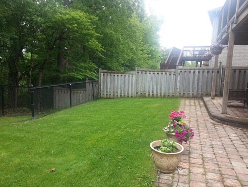 Half sloped backyard with fence - design ideas.