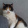 joanna_joly