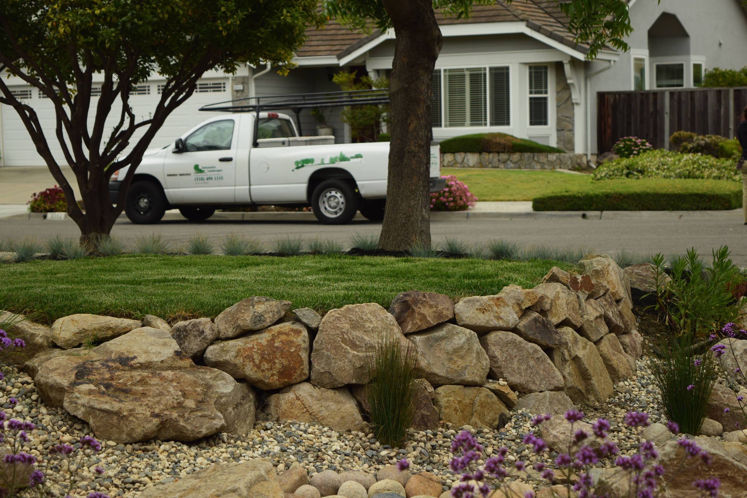 Fremont Residence