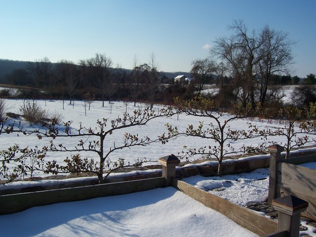 Vegetable Gardens klassisch-garten