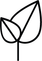 Sustainable design of homes in Morgantown WV