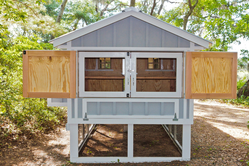 Carolina Coop New York by Carolina Coops Houzz
