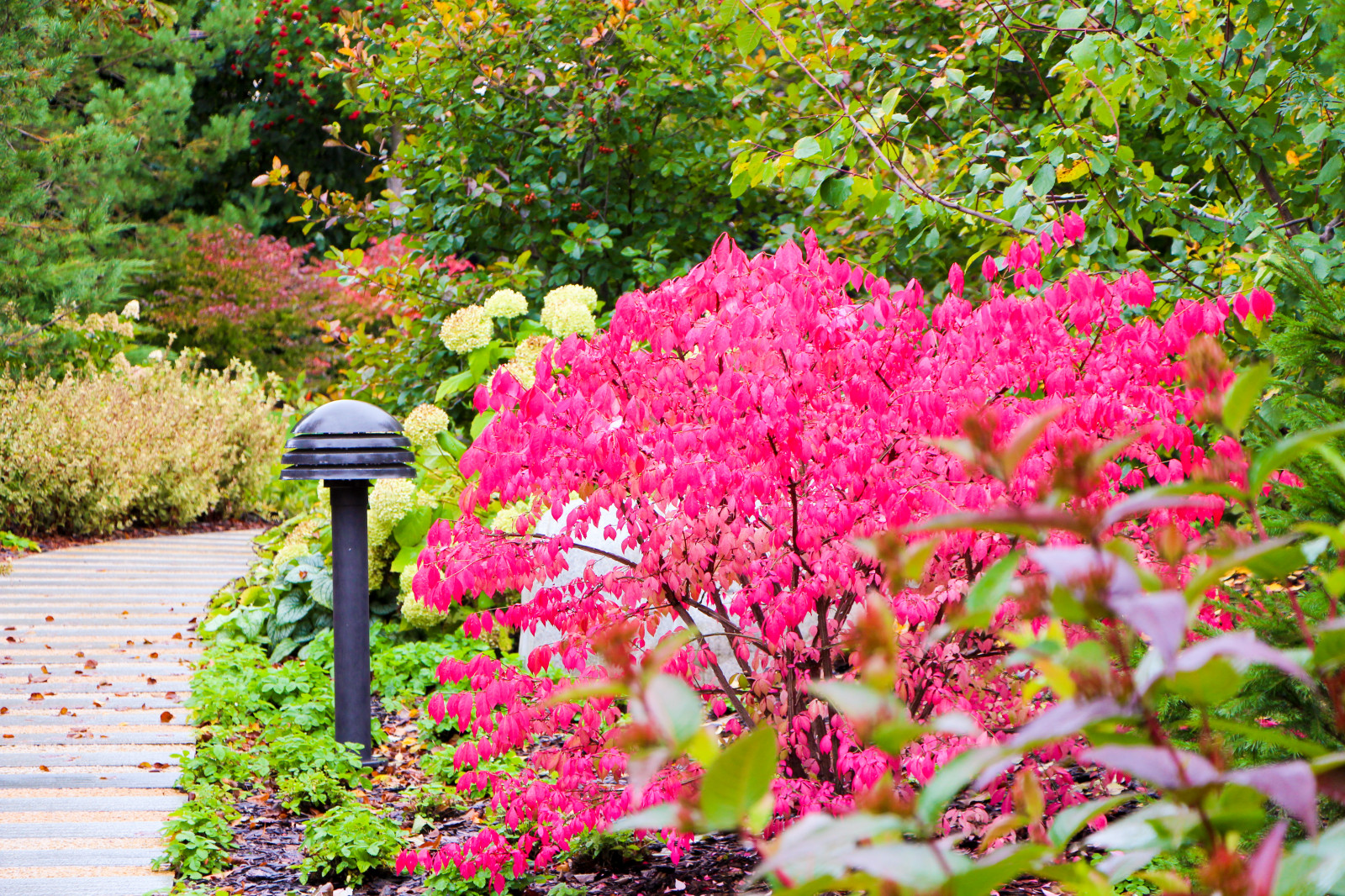 Горки-10, 2017-2020 г.г.