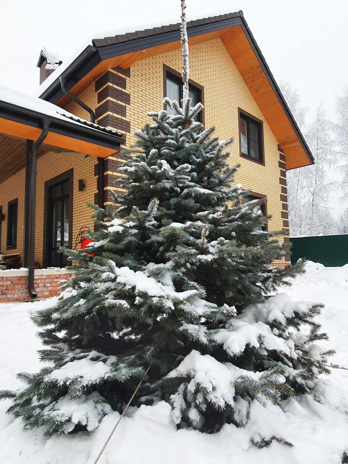 Кожино 2021/зима