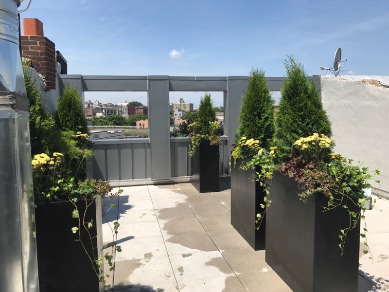 583 Franklin - Citi Habitats