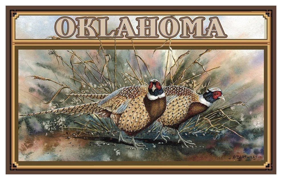 Dave Bartholet Oklahoma Pheasants Art Print, 12"x18"