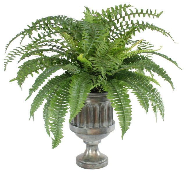 Boston Fern In Graphite Urn 28" Tall Traditional Artificial Plants And Trees by Jane