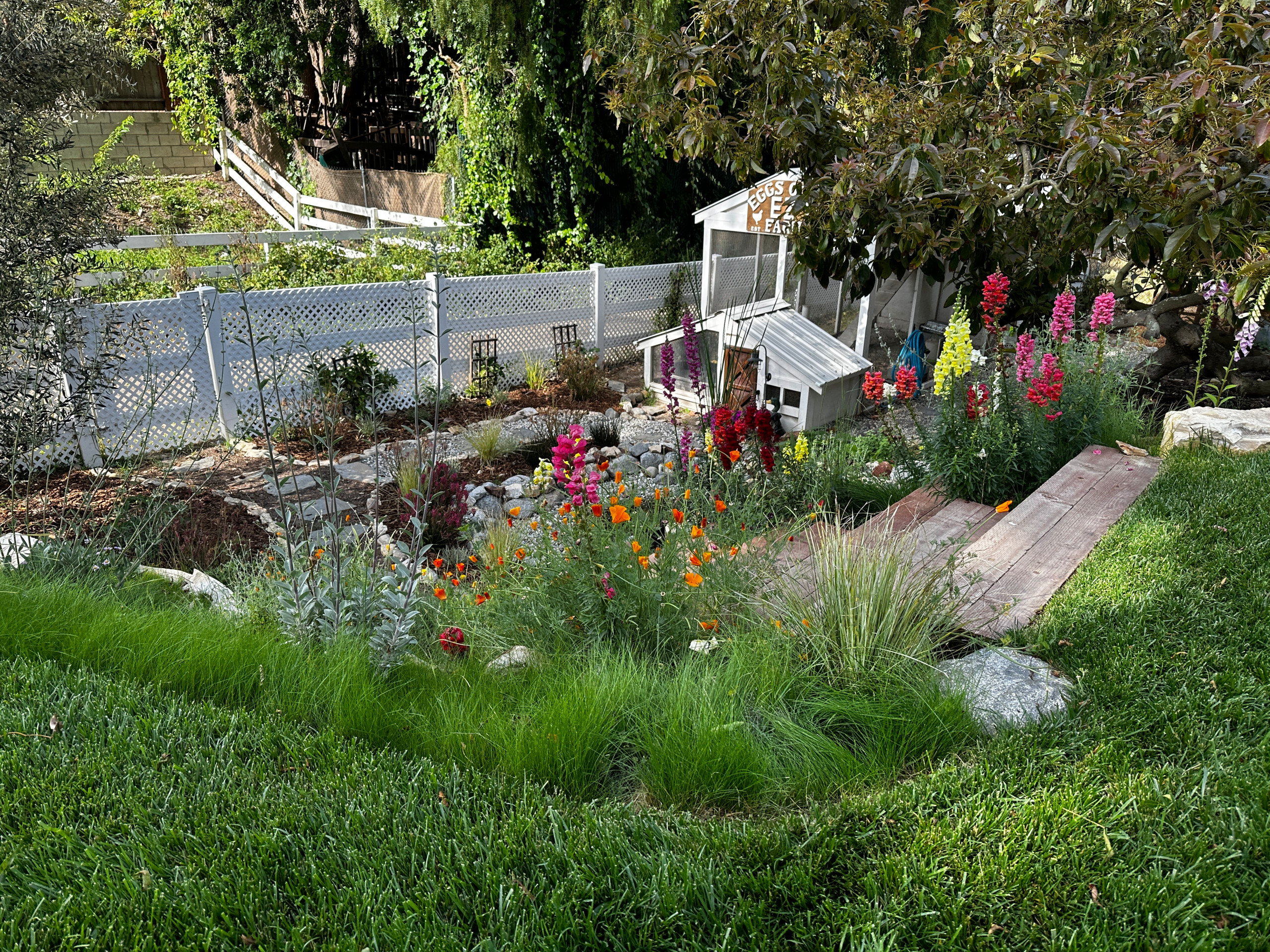 Childhood Oasis
