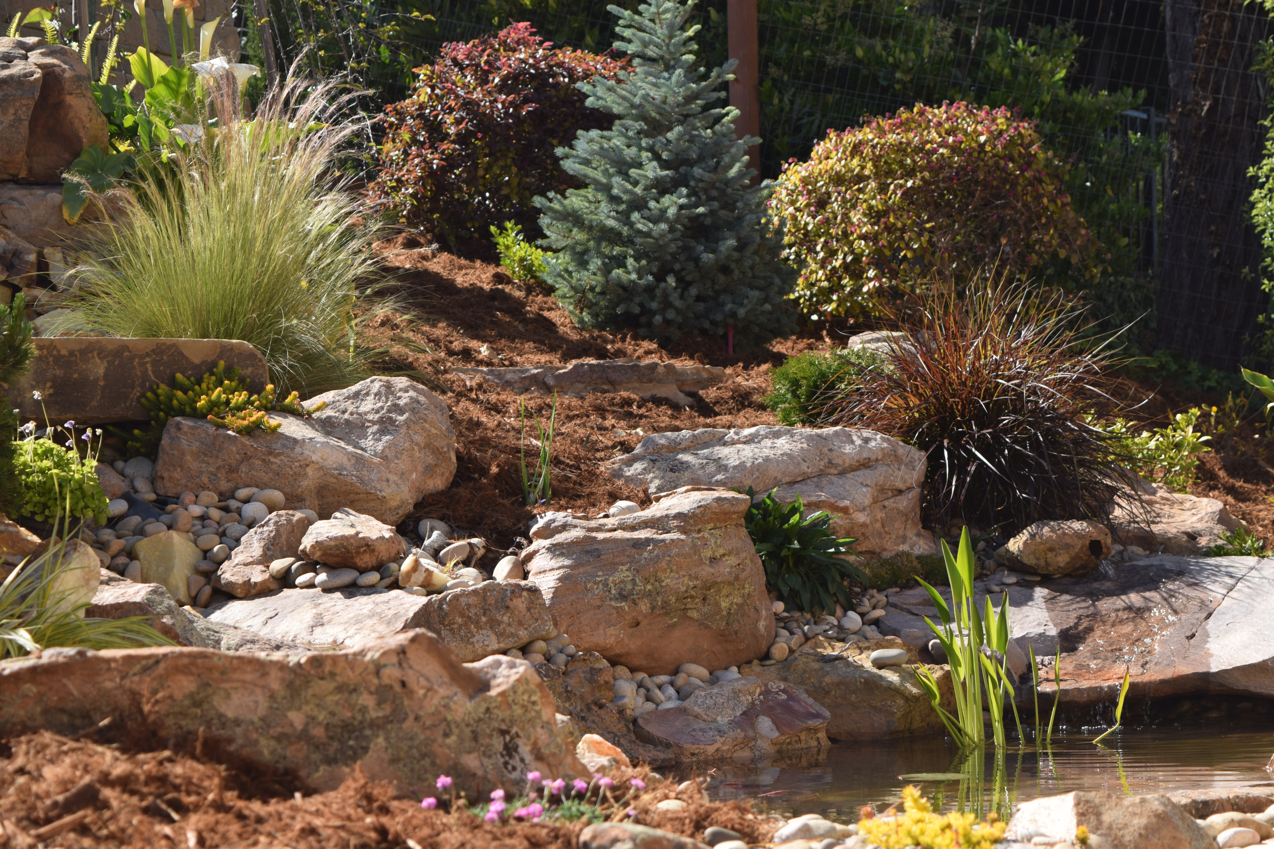 Mediterranean Backyard Transformation - Tiburon, CA