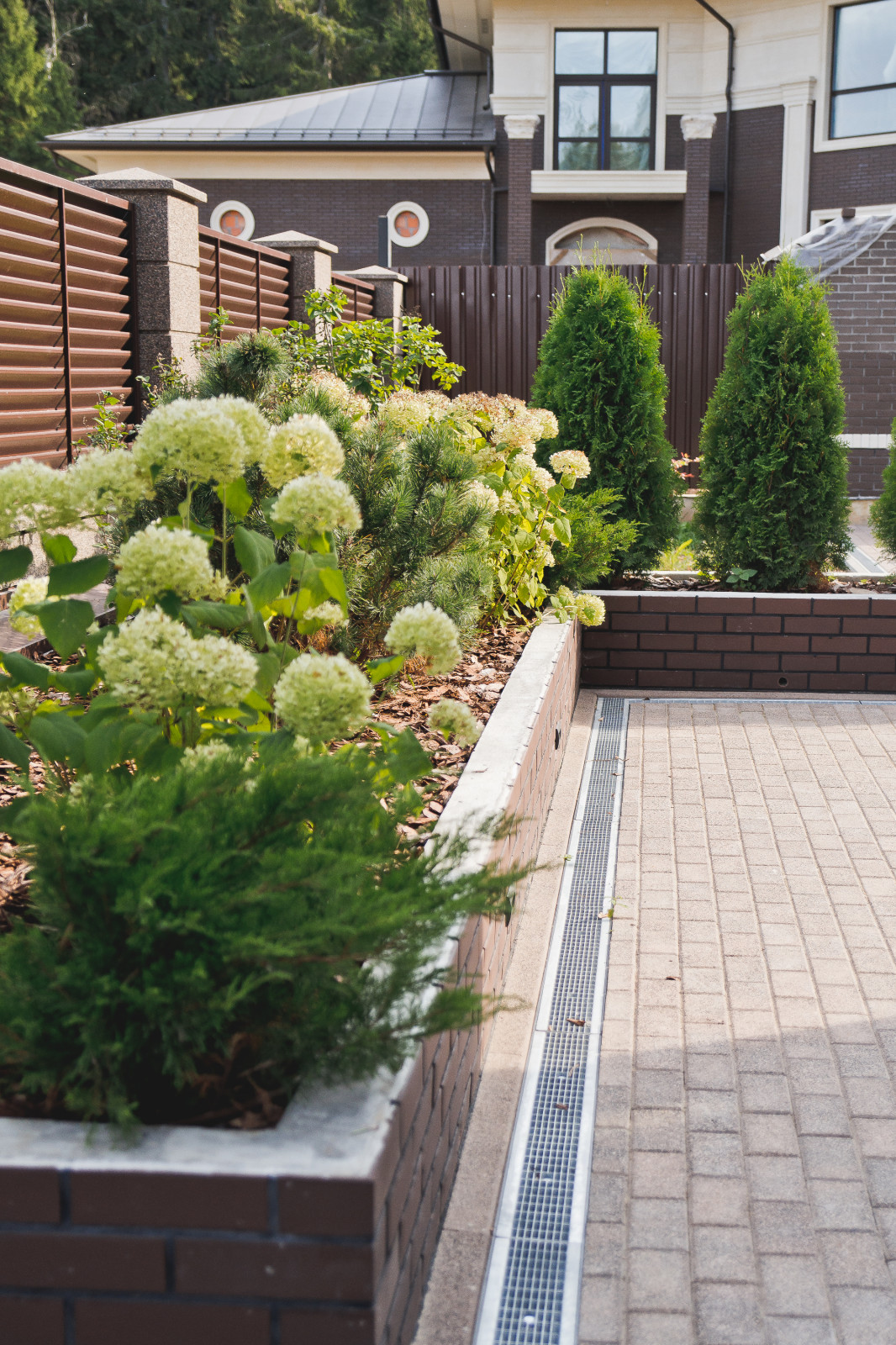 Сад на краю леса