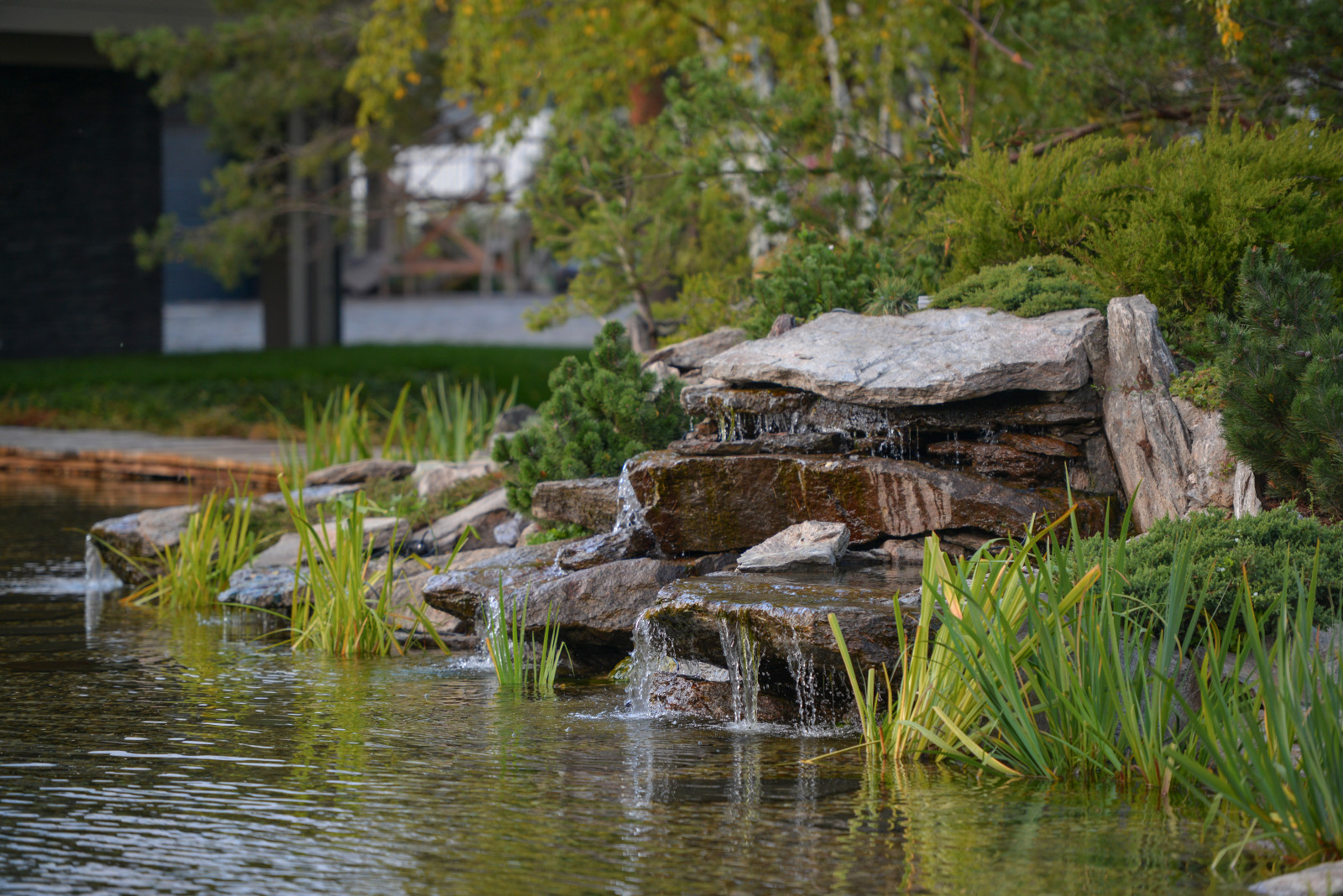 Проект сада с водоемом