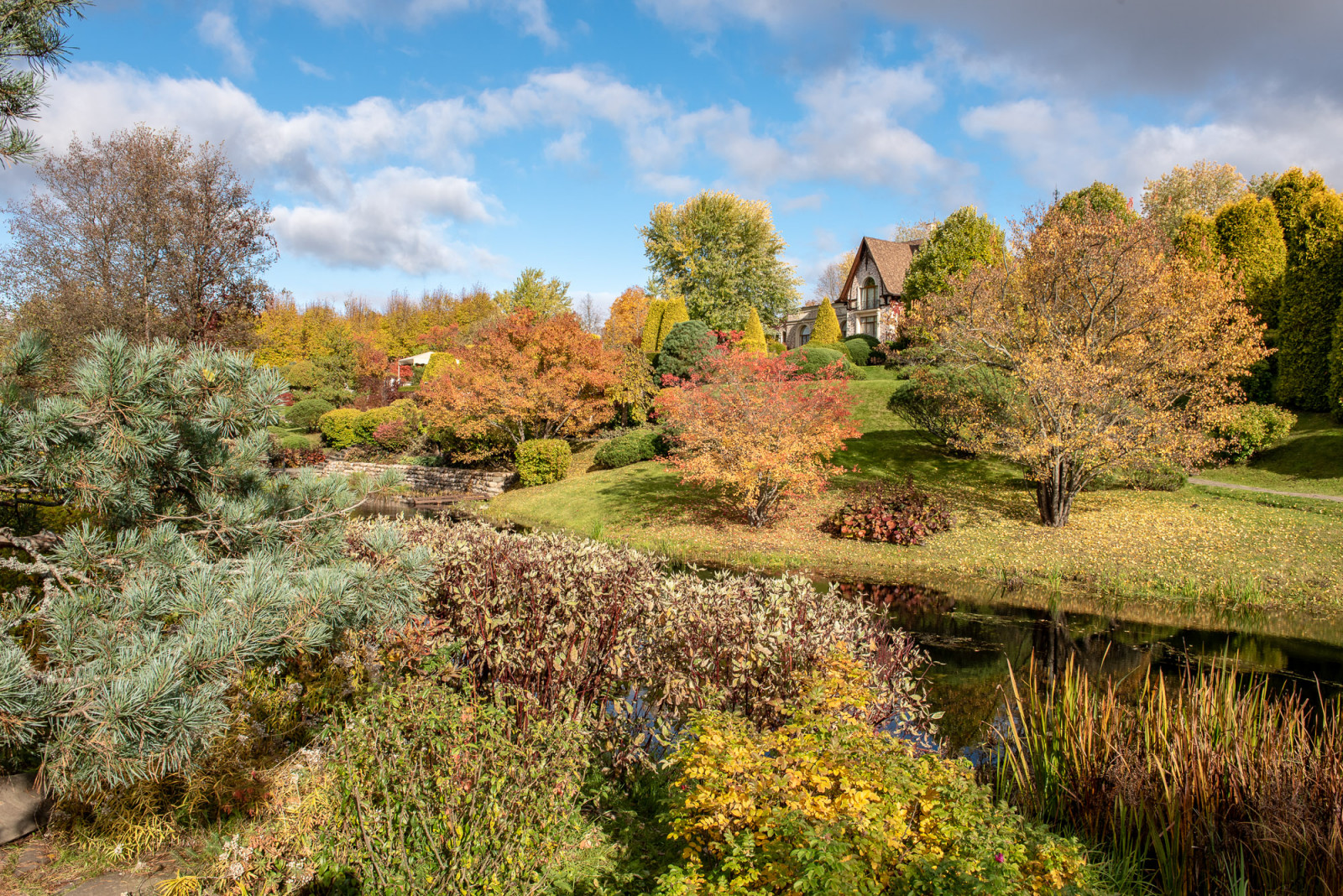 Ореховно. Музей-Усадьба.