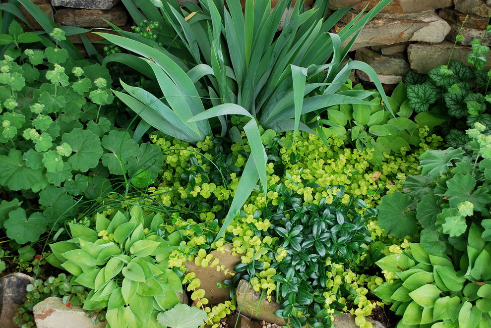 Favorite Plant Palette