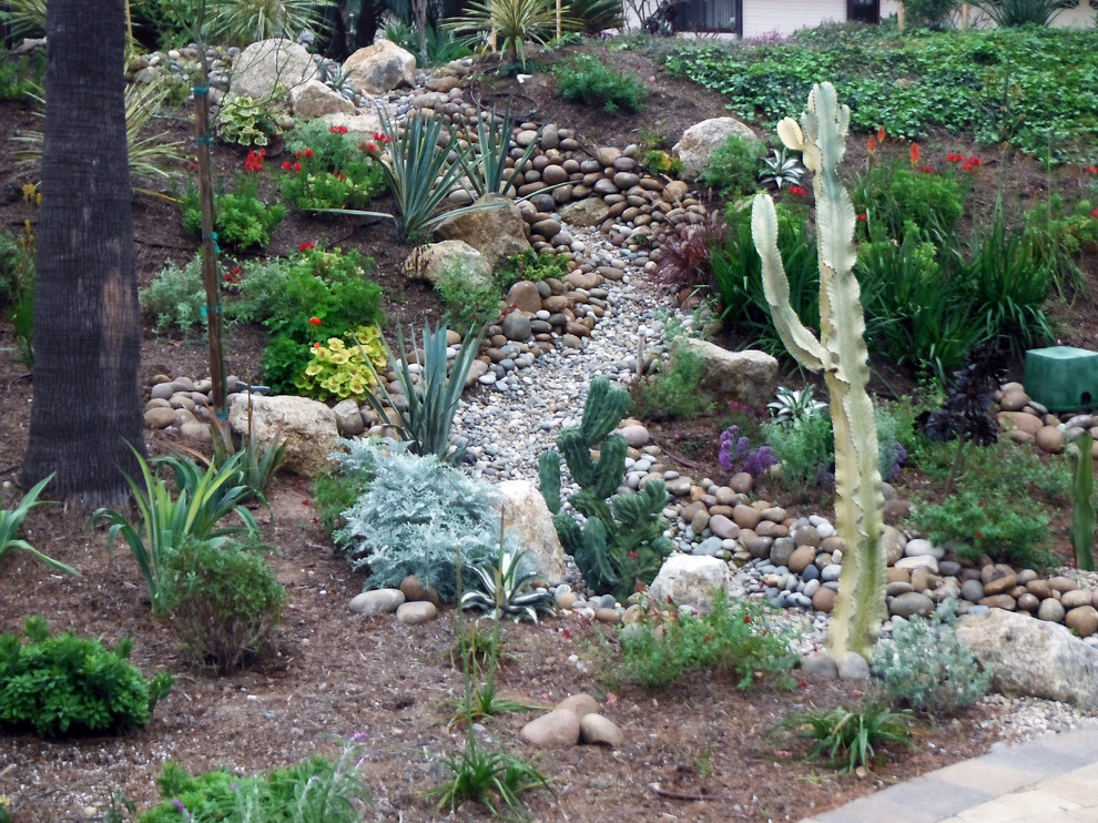Design ideas for a garden in San Diego.