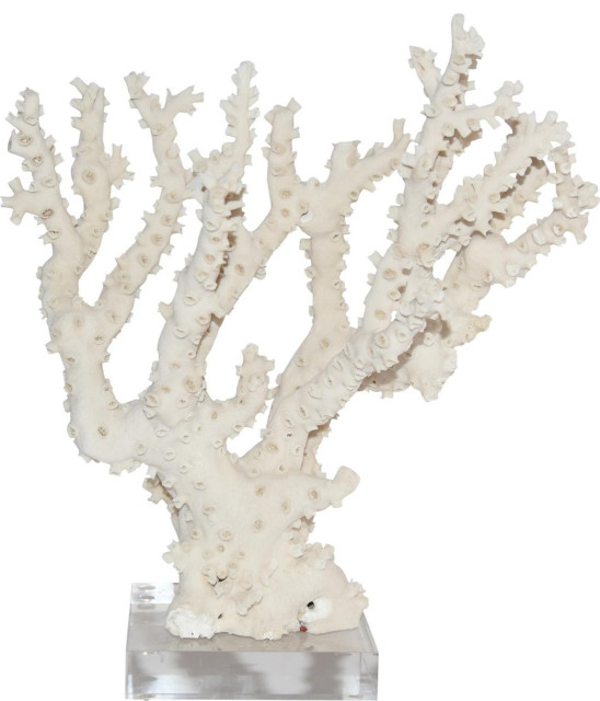 Sculpture Octopus Coral Shape May Vary Variable Size Natural Colors