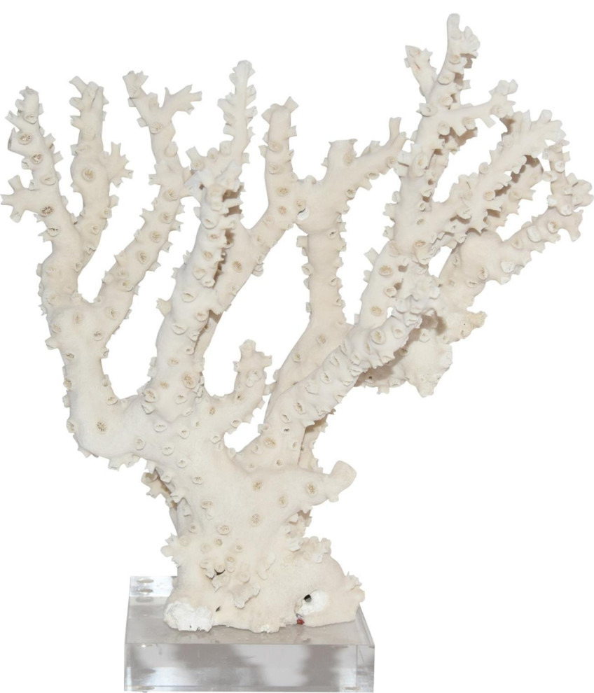 Sculpture Octopus Coral Shape May Vary Variable Size Natural Colors