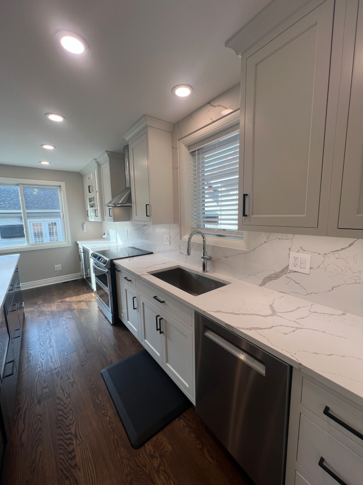 Chicago Kitchen/Dining Renovation