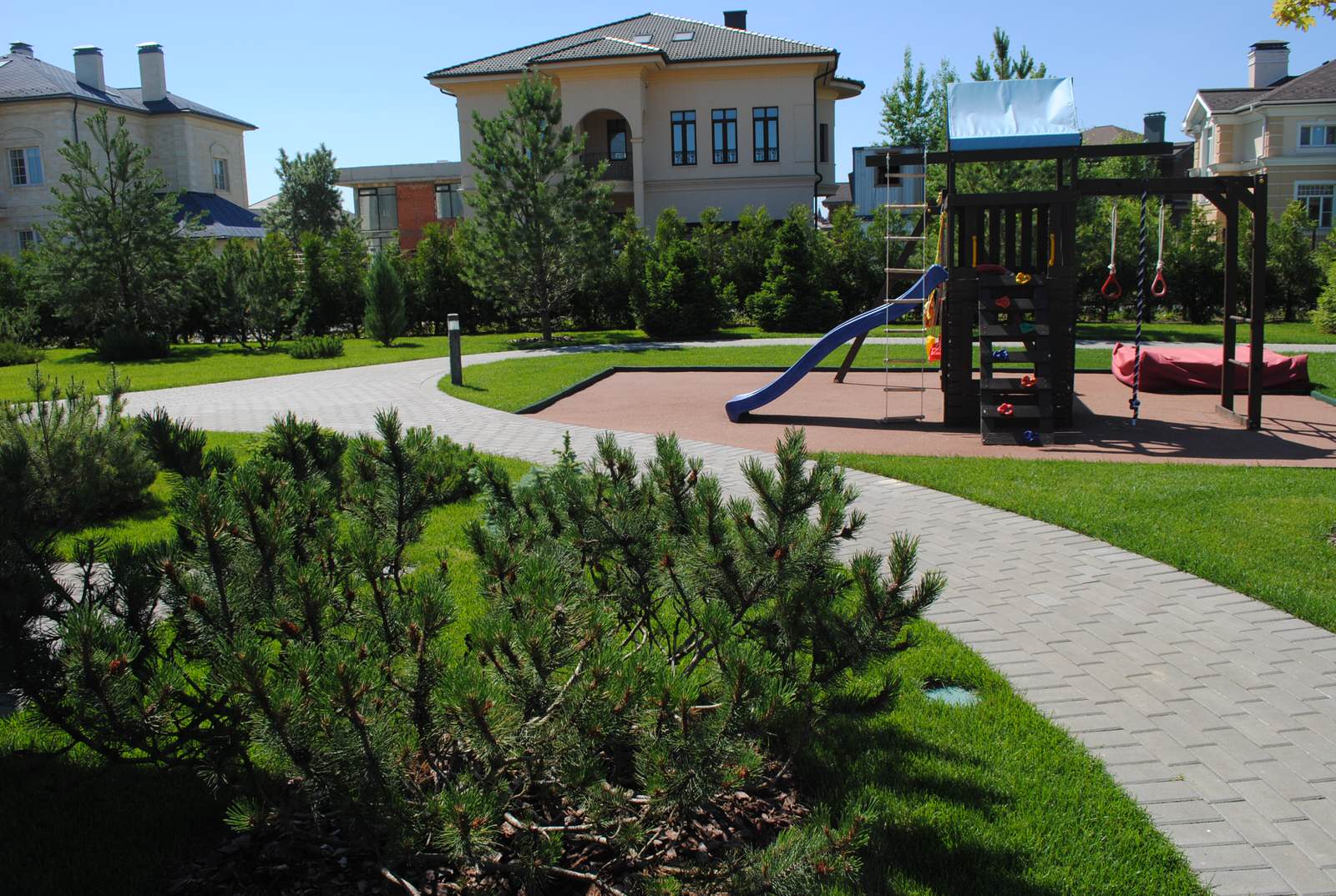 Сад с хвойными растениями