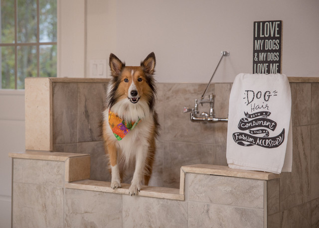 residential dog wash station