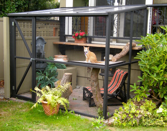 36 Best Pictures Diy Outdoor Cat Enclosure Attached To House / Outdoor Cat Cage Made From Wood Utility Shelving Cuckoo4design