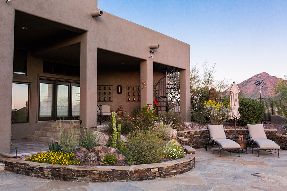Design ideas for a mid-sized industrial front yard patio in Phoenix with a container garden and no cover.