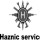 Haznic Services LLC