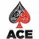 ACE Contracting Services, Inc.