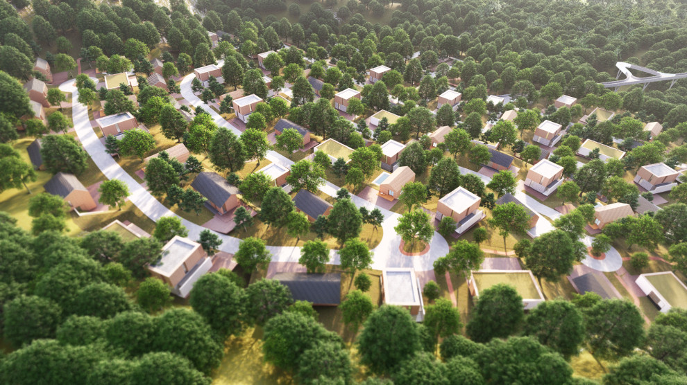 Зарождение