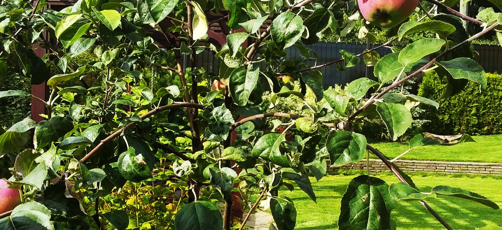 Усадьба на берегу залива