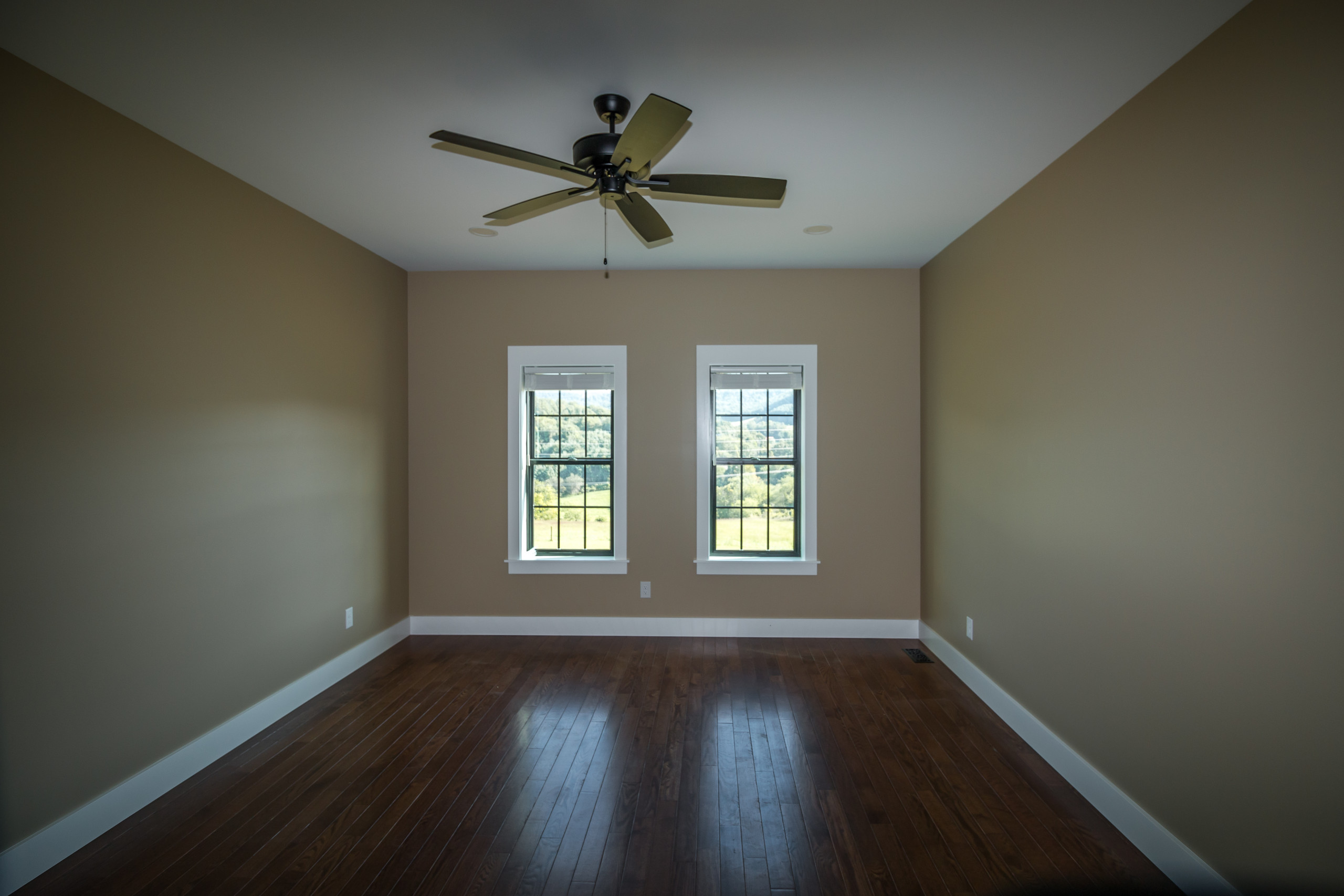 Wolfe Interior