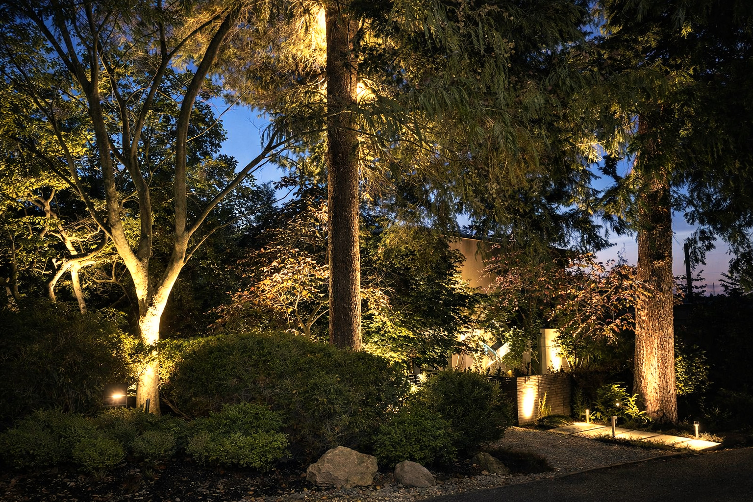 A garden Upgradetur4e, modern,