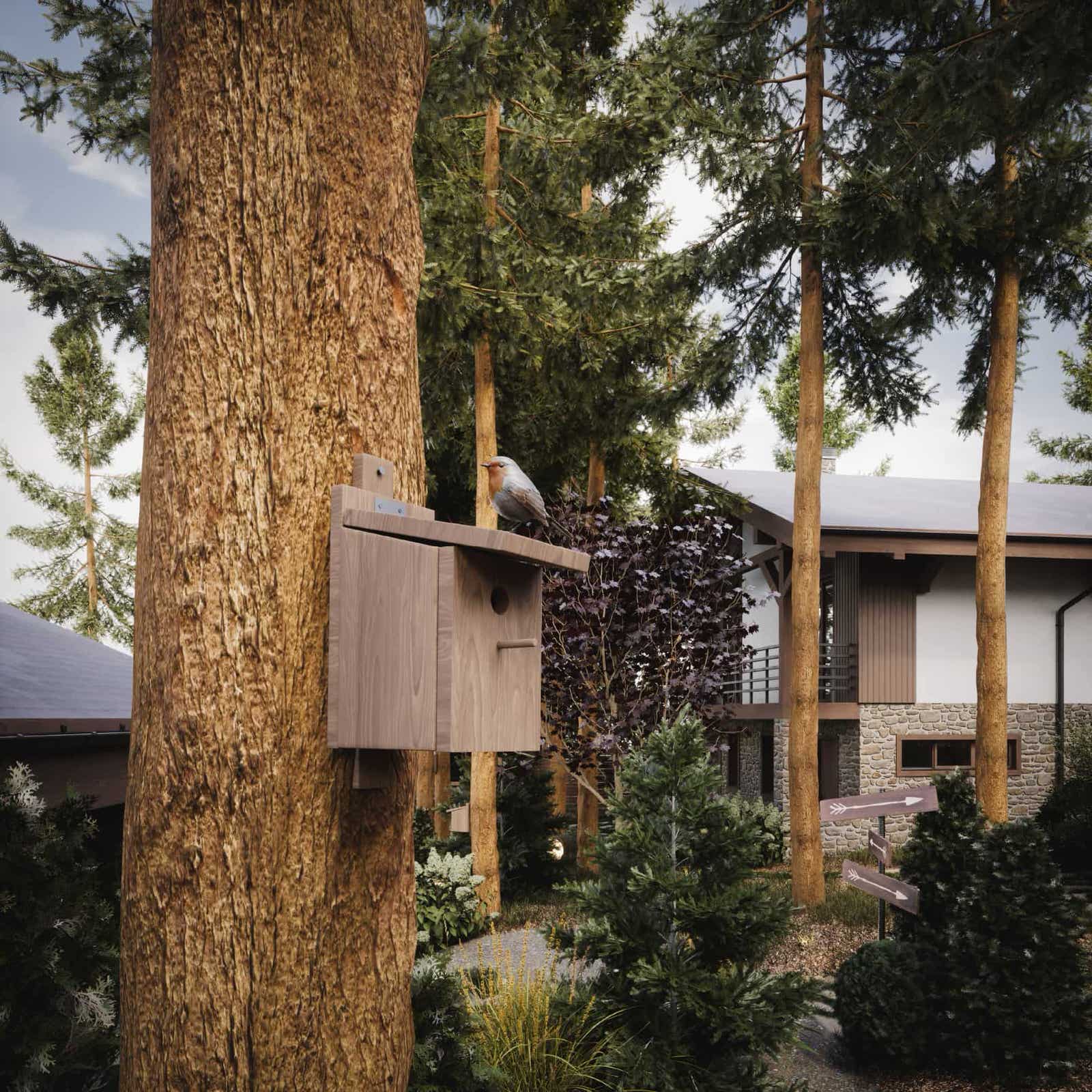 Лесные просторы