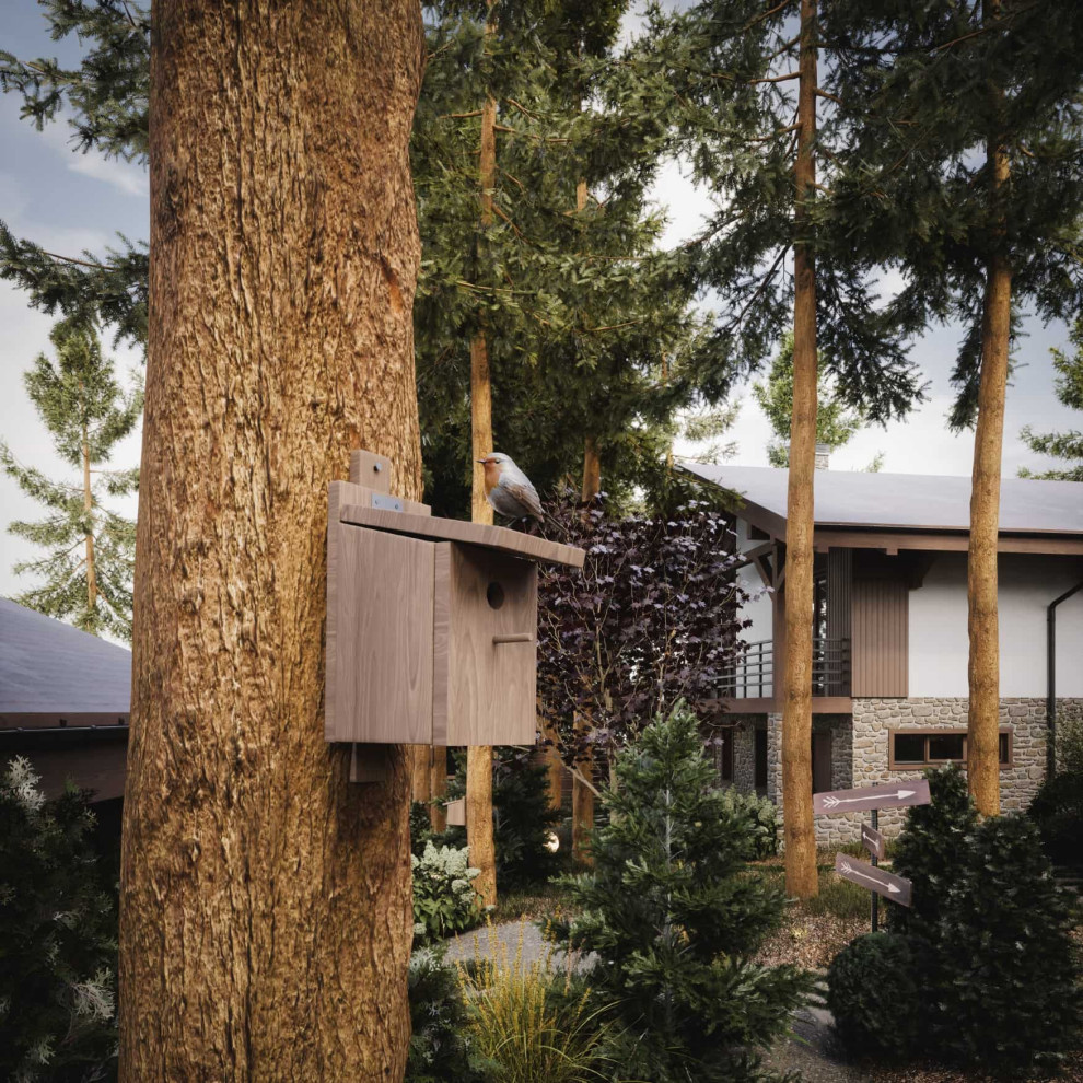 Лесные просторы