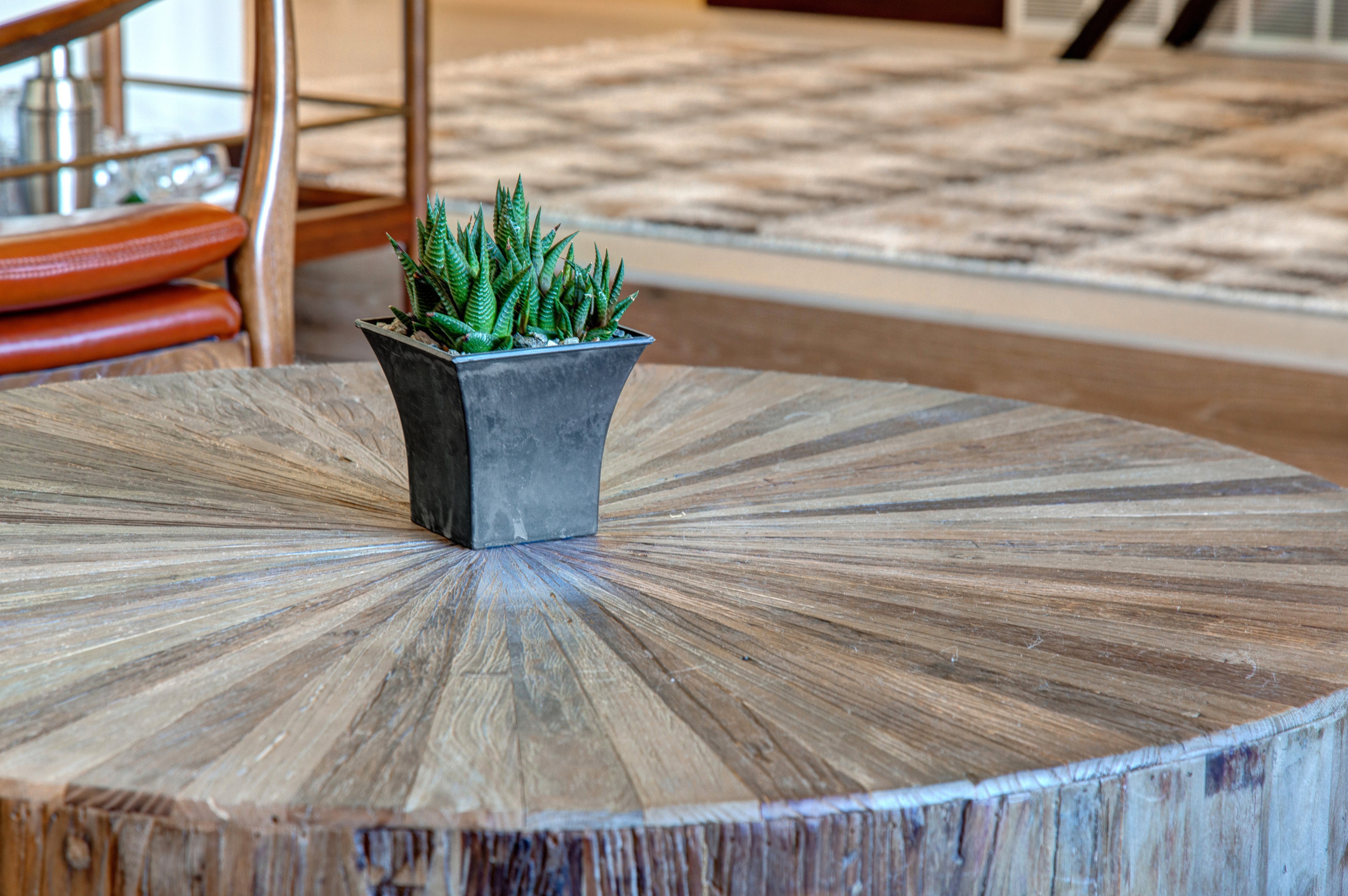 Mid-Century Modern Rustic Park City Home