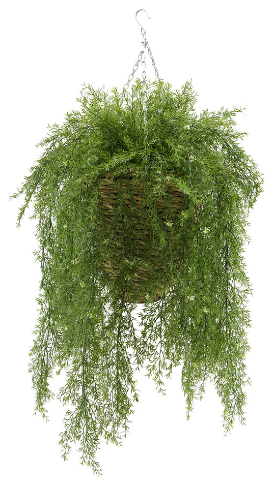 Faux Asparagus Fern in Reed Hanging Basket Traditional Artificial