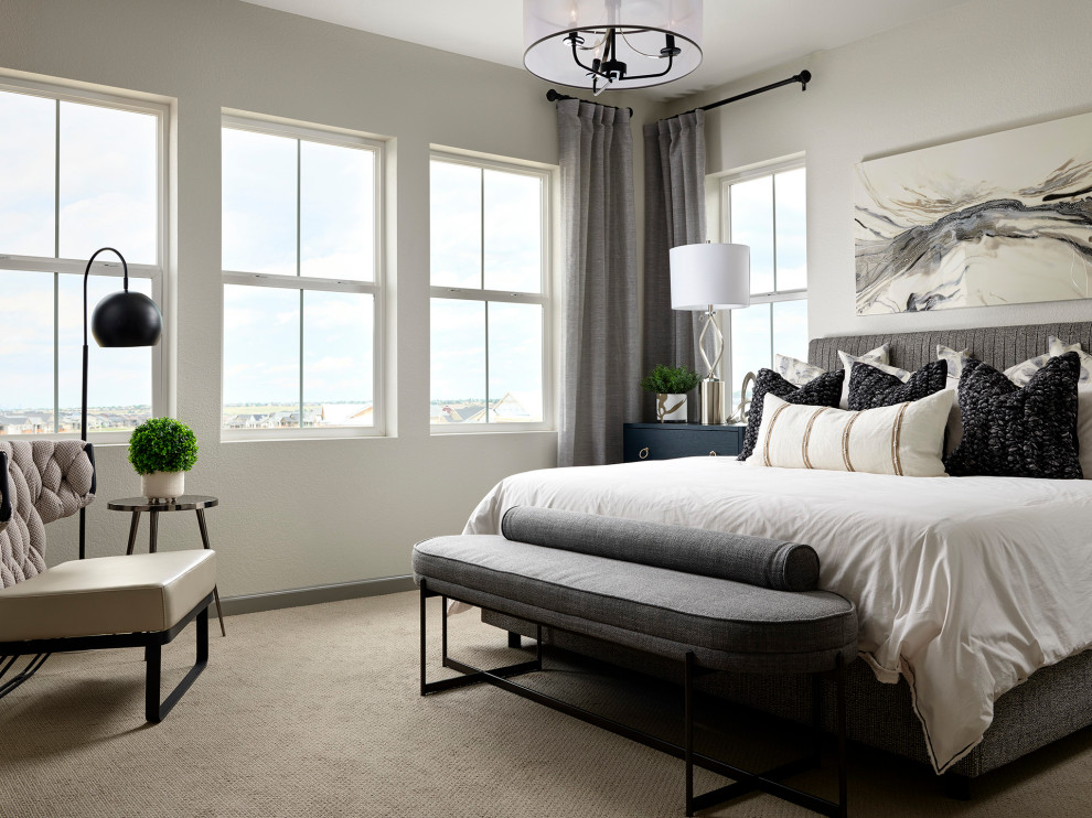 Bedroom - transitional bedroom idea in Denver