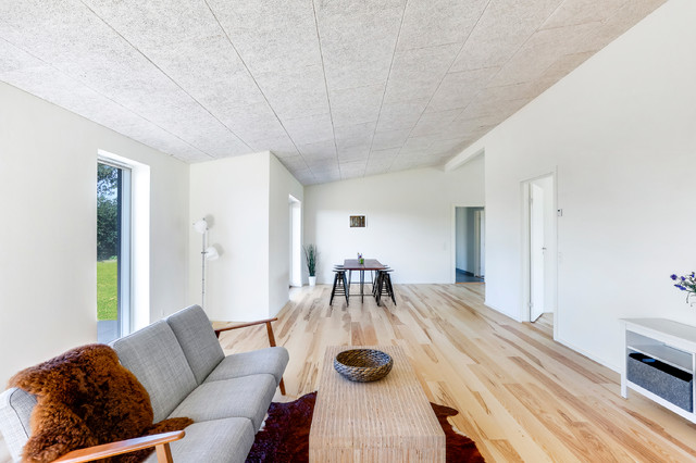 Inspiration modern-living-room