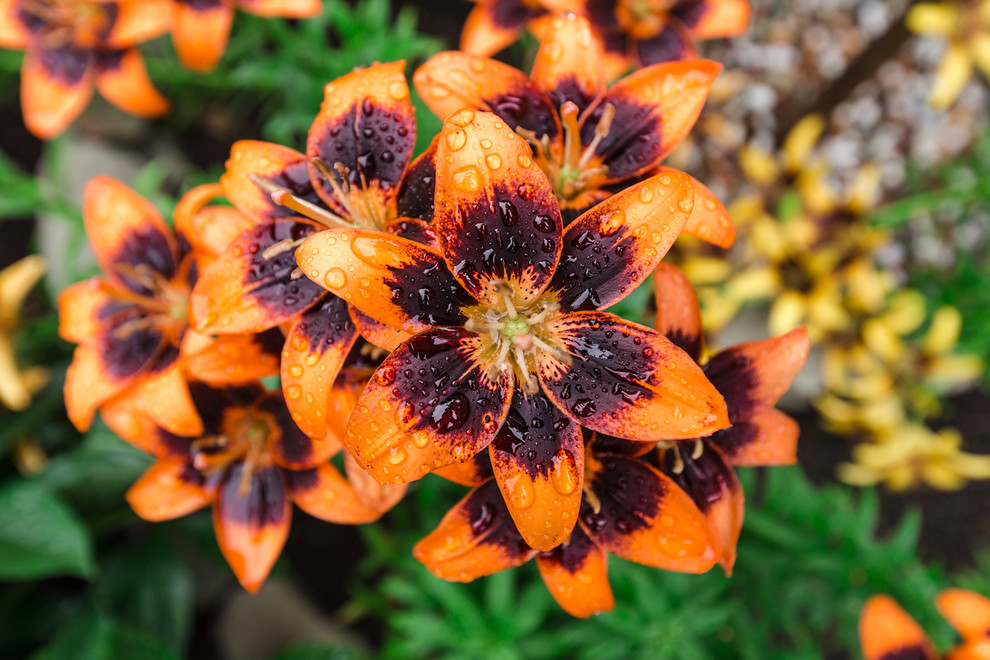 Экстерьер загородного дома