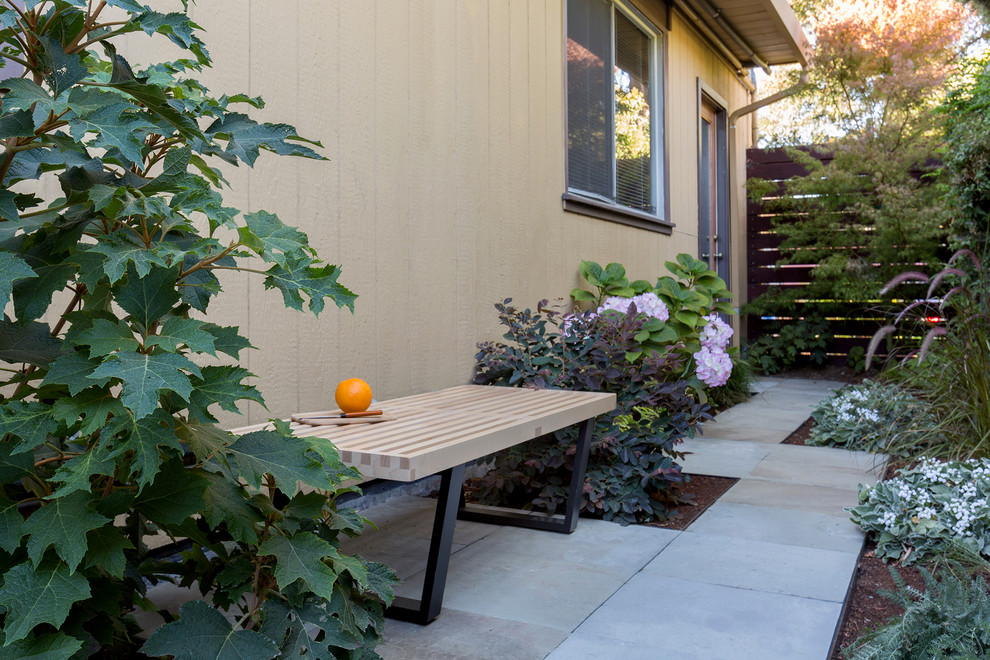 This is an example of a small modern side yard patio in San Francisco with natural stone pavers and no cover.
