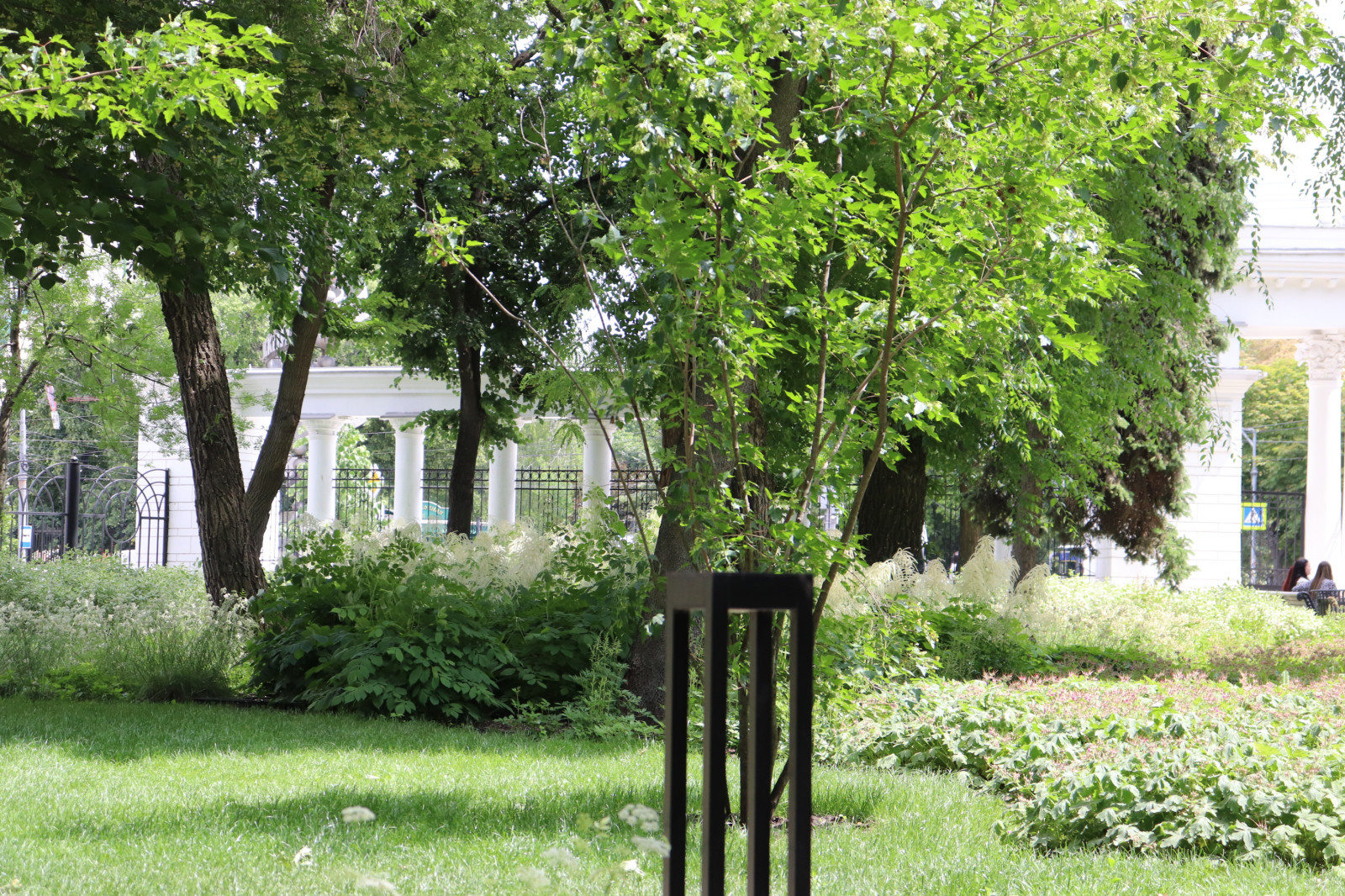 Парк Орленок