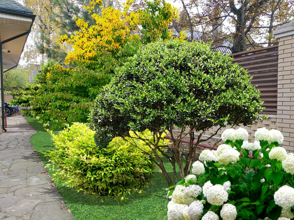 Визуализации