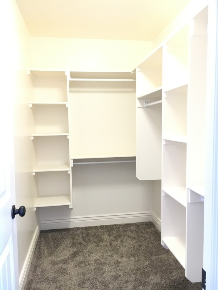 Inspiration for a mid-sized transitional gender-neutral carpeted walk-in closet remodel