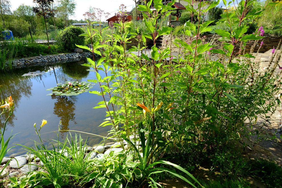 Зеркальный Ландшафтное проектирование