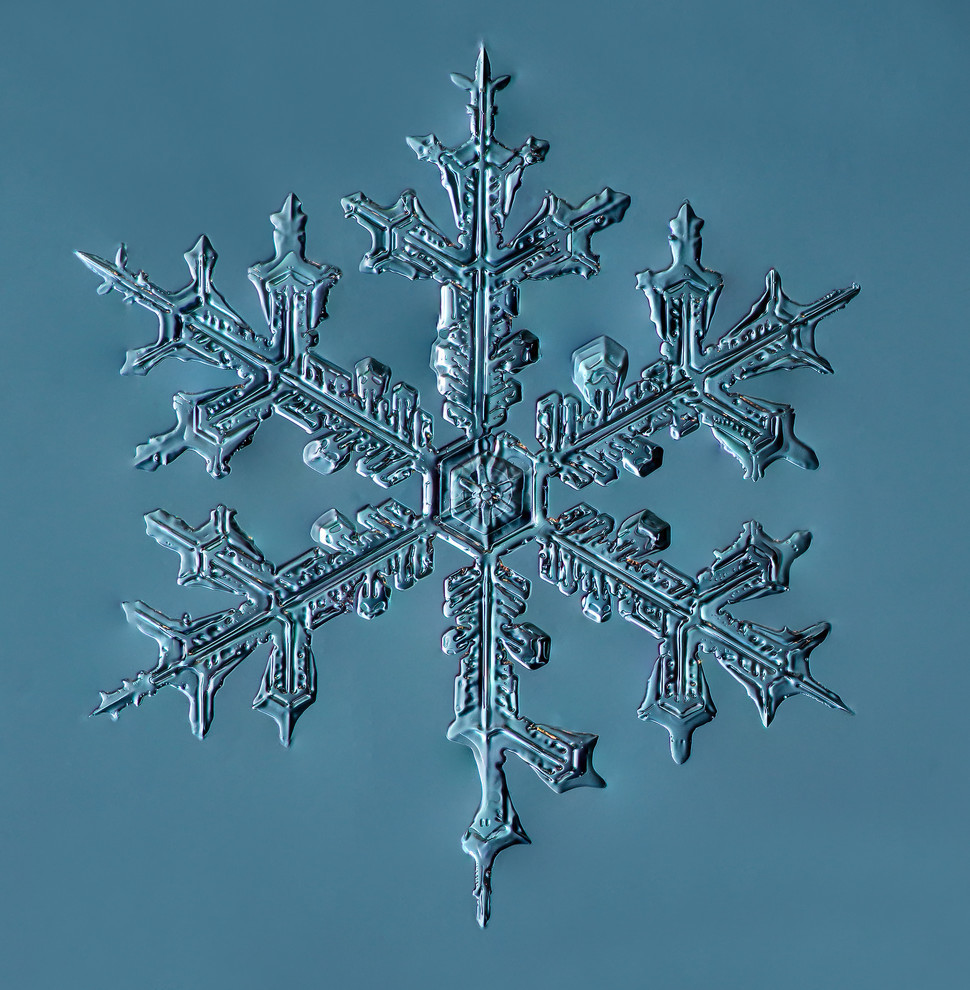 Stellar Dendrite Snowflake 002.03.24.2014 Print