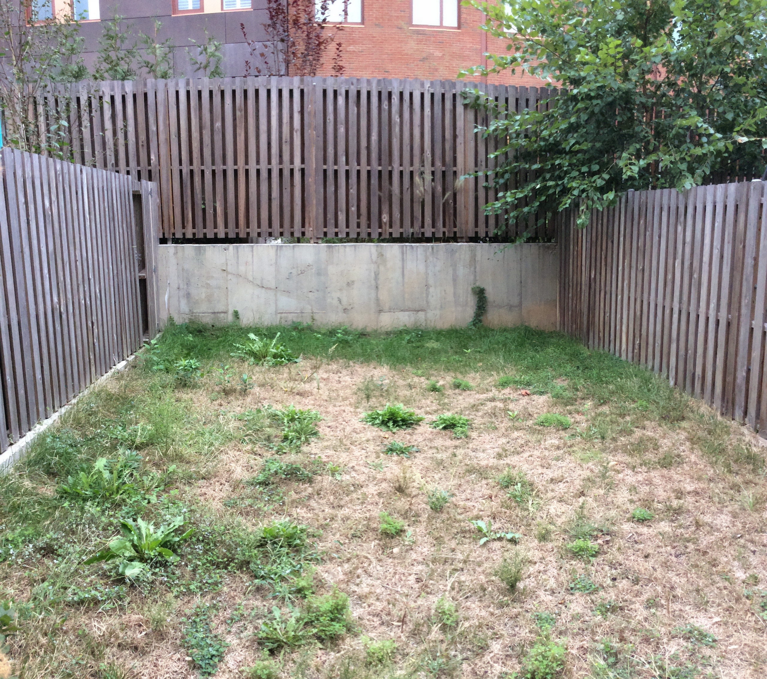 Modern Garden with Curved Corten Border