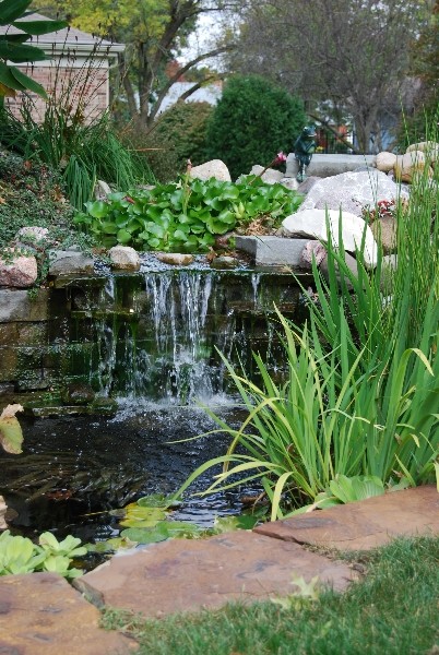 Water Gardens