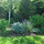 Joseph Basone Landscape Design & Garden Maint.