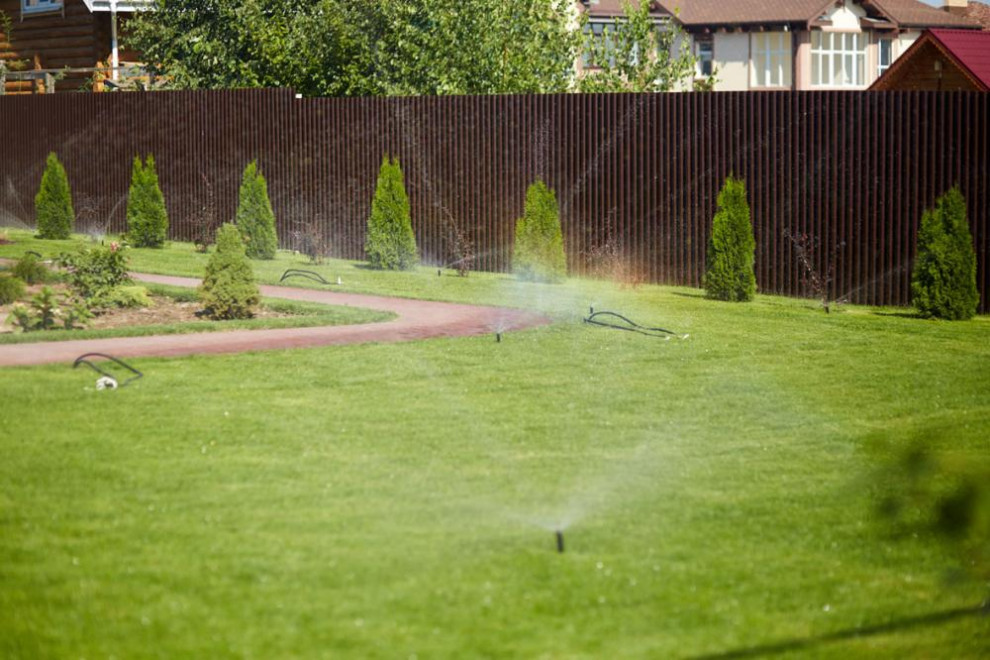 Сад в к.п. Сартаково Нижегородской области.