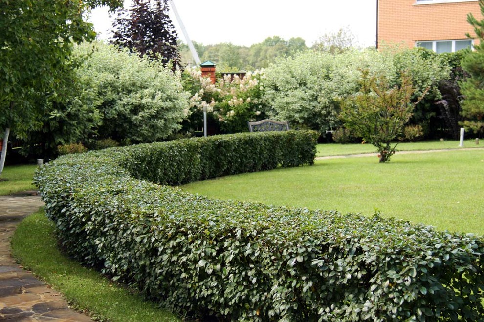 Сад сезонов в Вороново