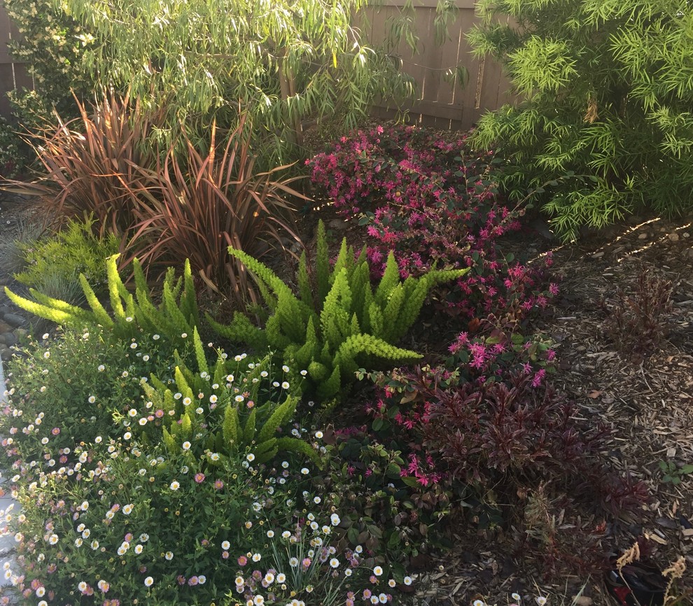 Mittelgroßer Stilmix Garten in San Diego